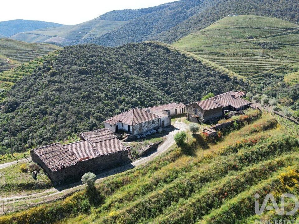 Farm i Sao Joao da Pesqueira, Viseu - foto 4