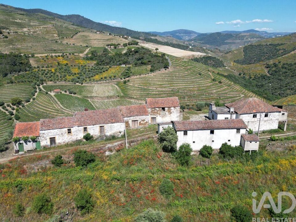 Farm i Sao Joao da Pesqueira, Viseu - foto 5