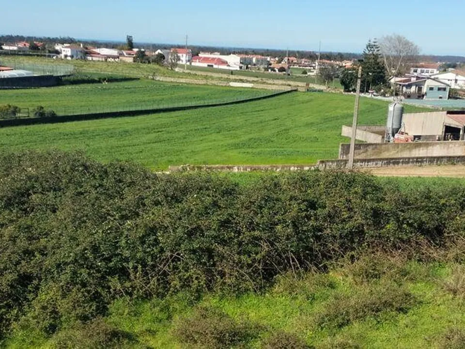Terreno en Vila do Conde, Porto - foto 3
