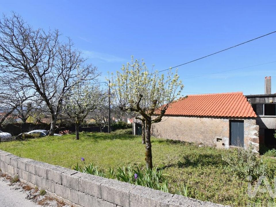 Byhus i Penela, Coimbra - foto 5