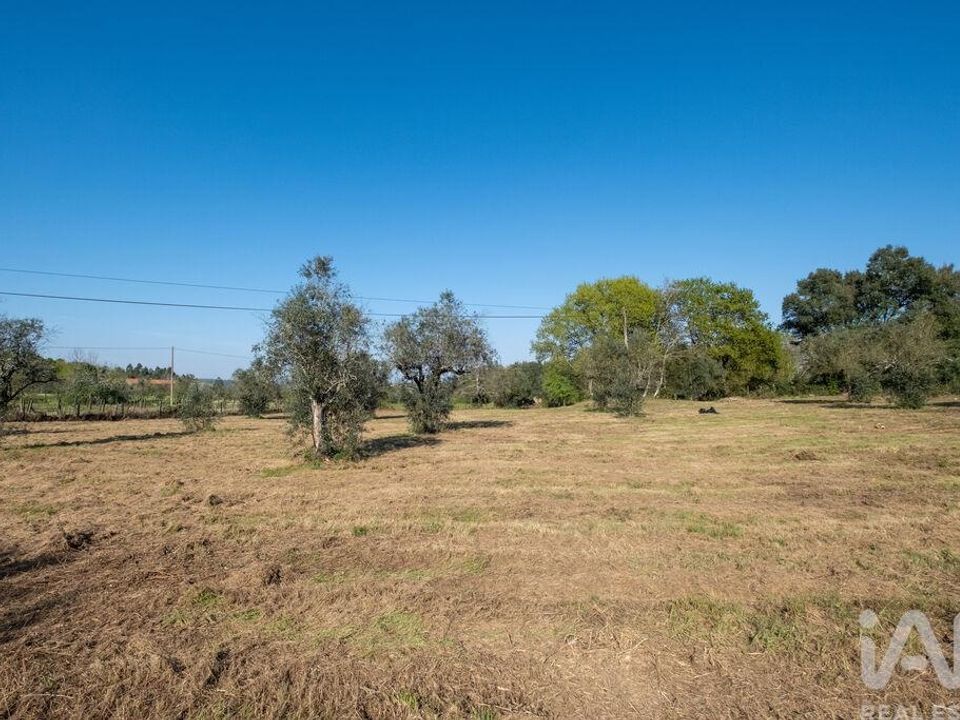Helårsgrund i Santa Comba Dao, Viseu - foto 4