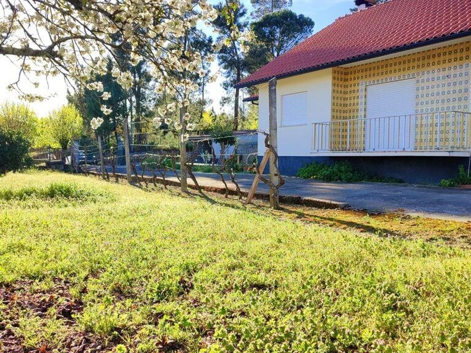 Casa de cidade em Mangualde, Viseu - foto 2