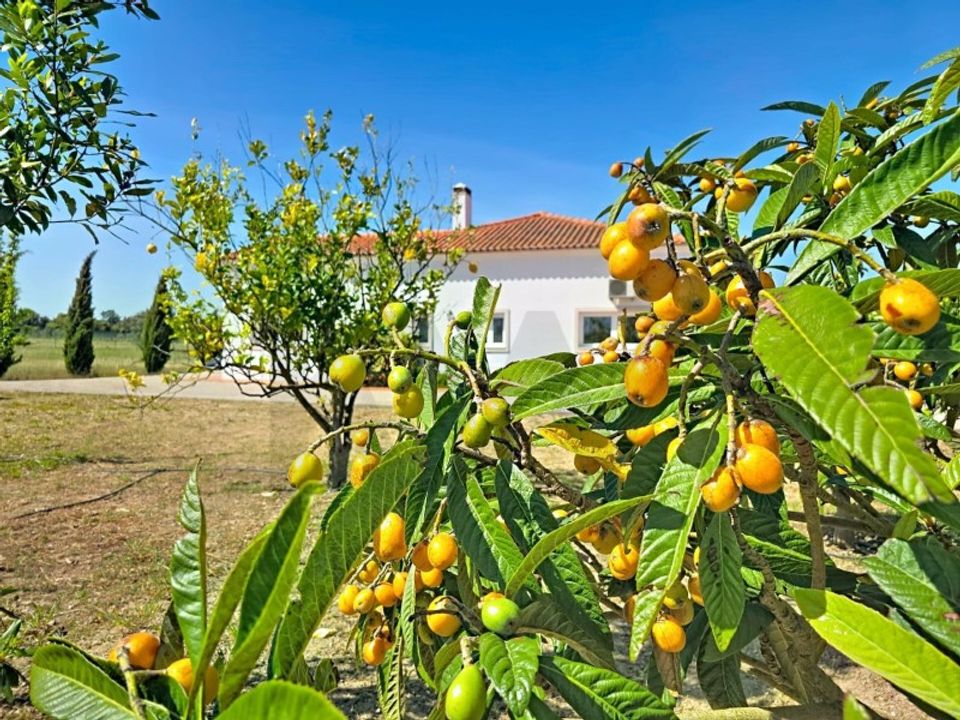Villa i Palmela, Setubal - foto 3