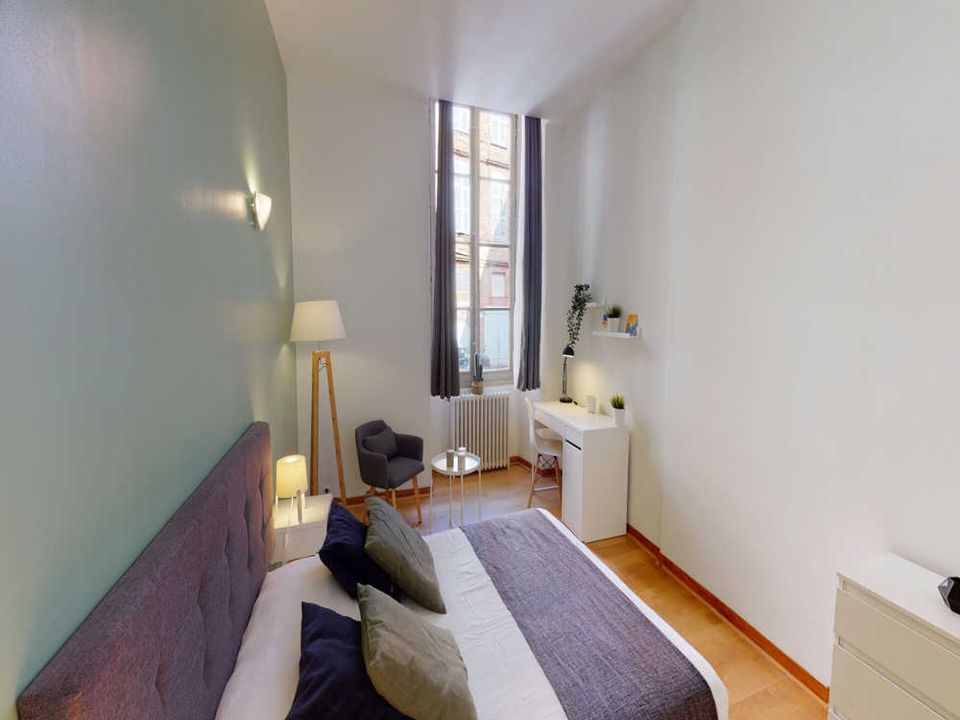 Apartment in Toulouse, Haute-Garonne - photo 1