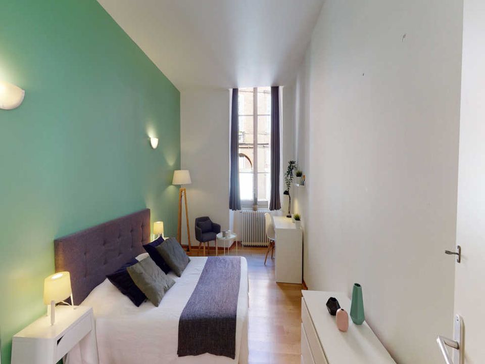 Apartment in Toulouse, Haute-Garonne - photo 3
