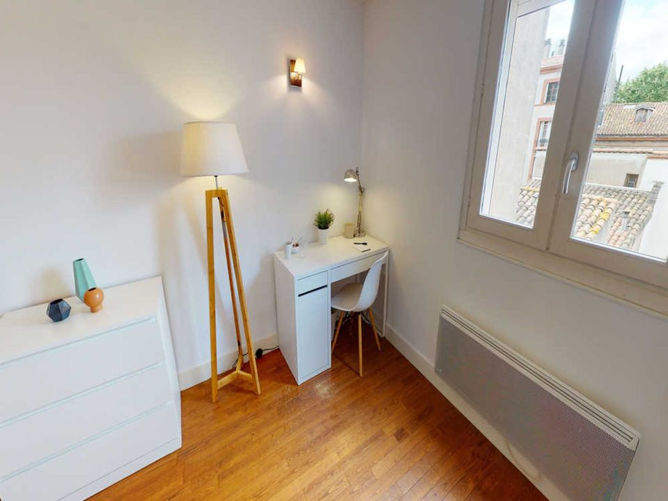 Apartment in Toulouse, Haute-Garonne - photo 4