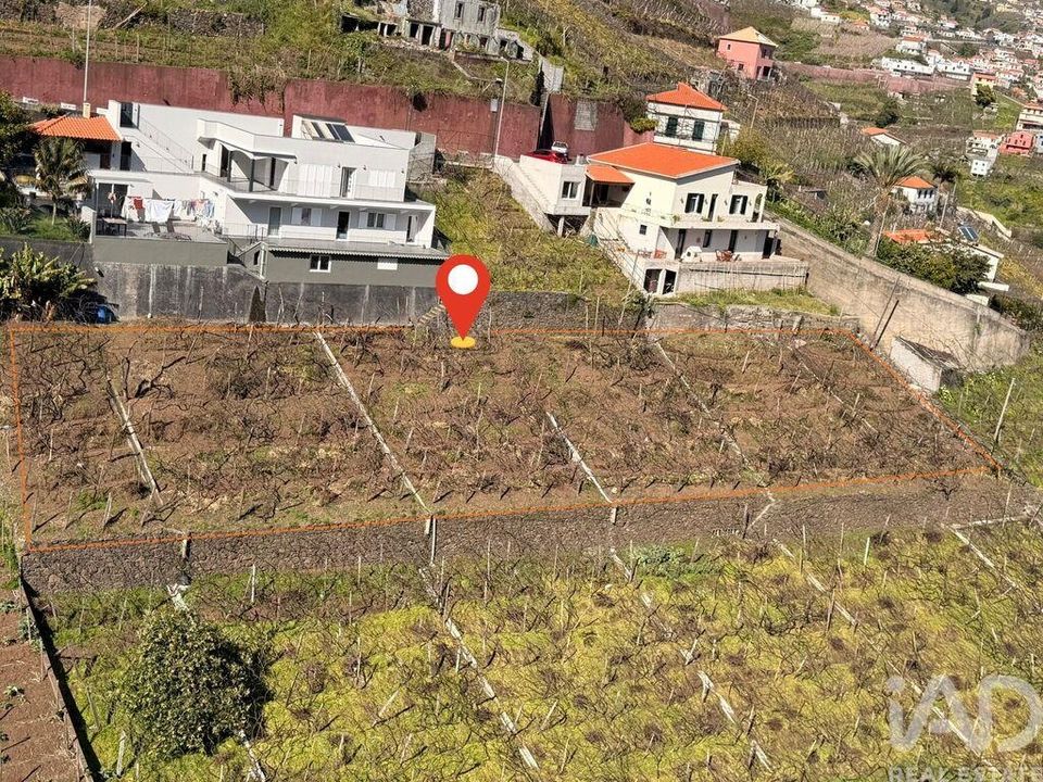 Helårsgrund i Camara de Lobos, Madeira - foto 1