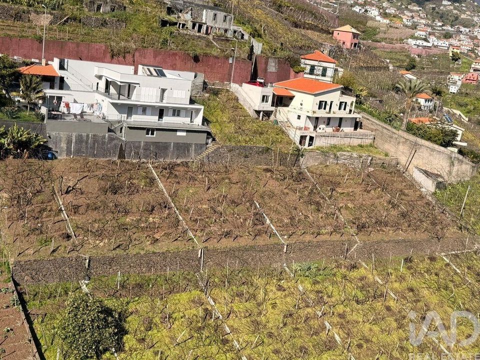 Helårsgrund i Camara de Lobos, Madeira - foto 2