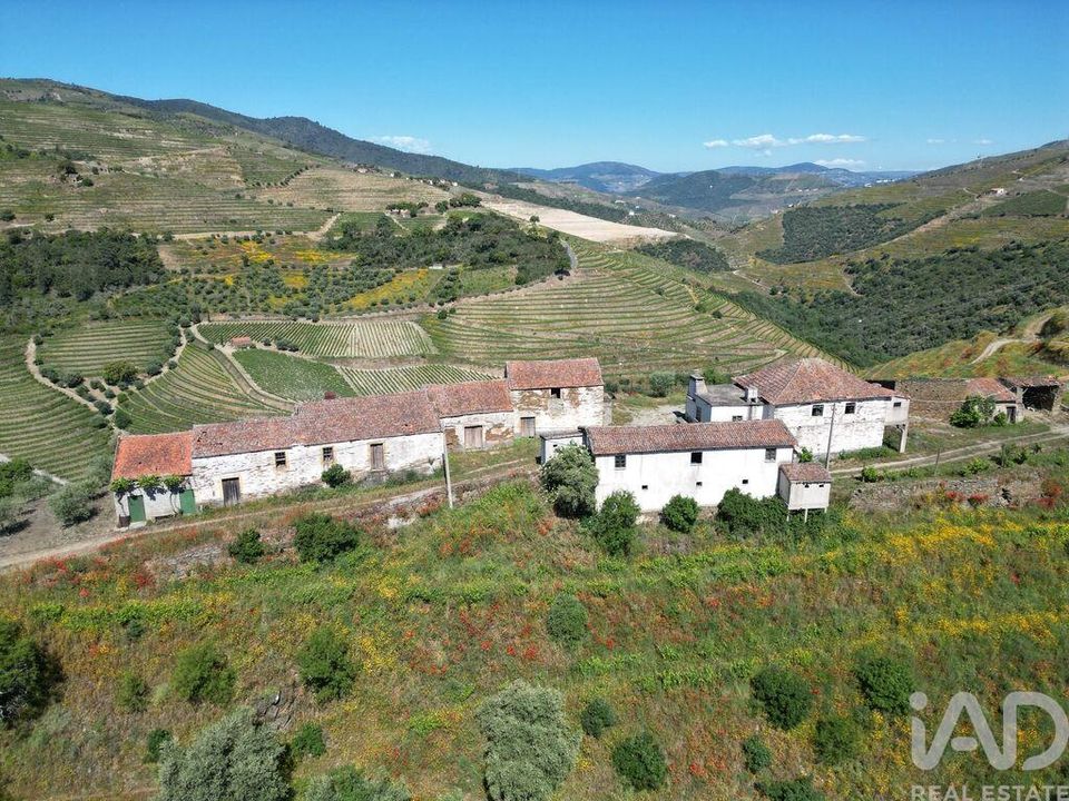 Farm i Sao Joao da Pesqueira, Viseu - foto 1