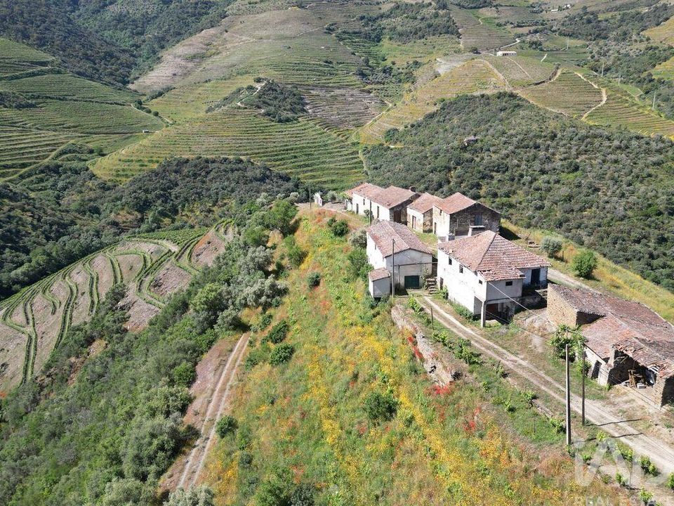 Farm i Sao Joao da Pesqueira, Viseu - foto 2