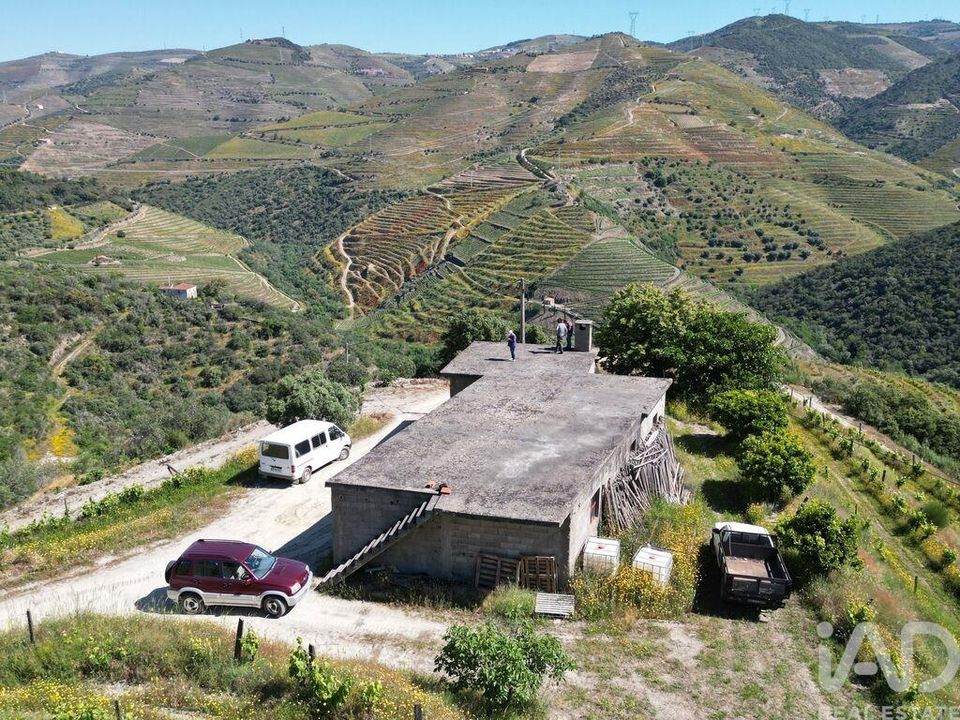 Farm i Sao Joao da Pesqueira, Viseu - foto 3