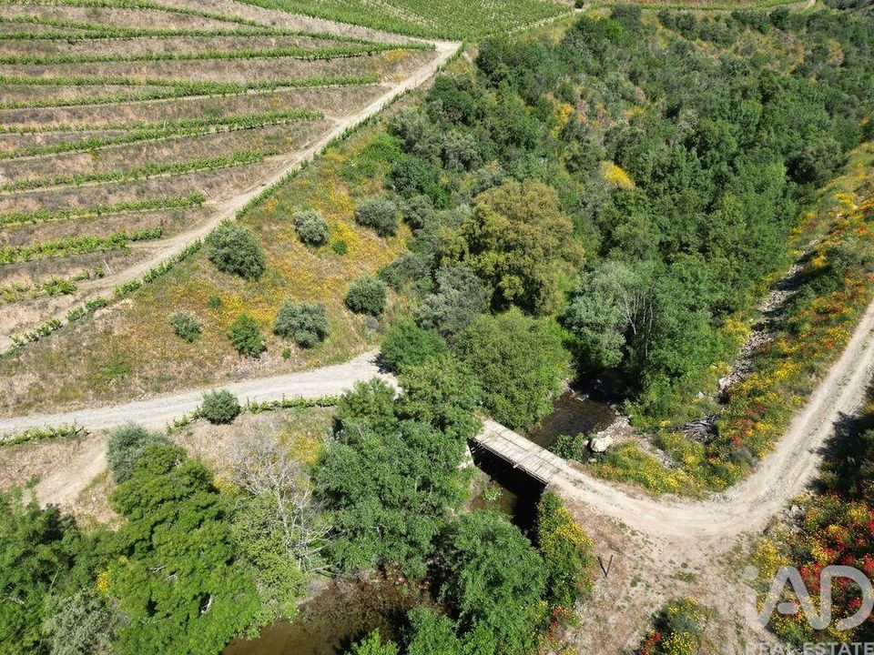 Farm i Sao Joao da Pesqueira, Viseu - foto 4