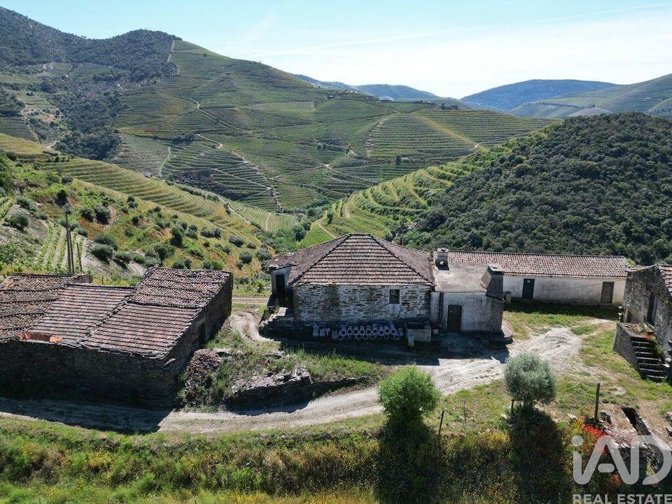 Farm i Sao Joao da Pesqueira, Viseu - foto 5