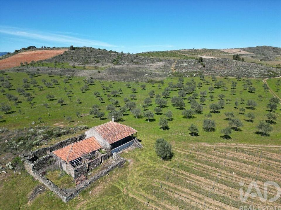 Farm i Vila Flor, Braganca - foto 4