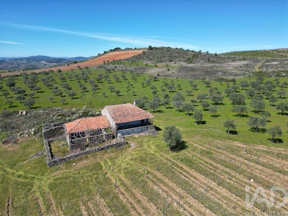 Farm i Vila Flor, Braganca - foto 5