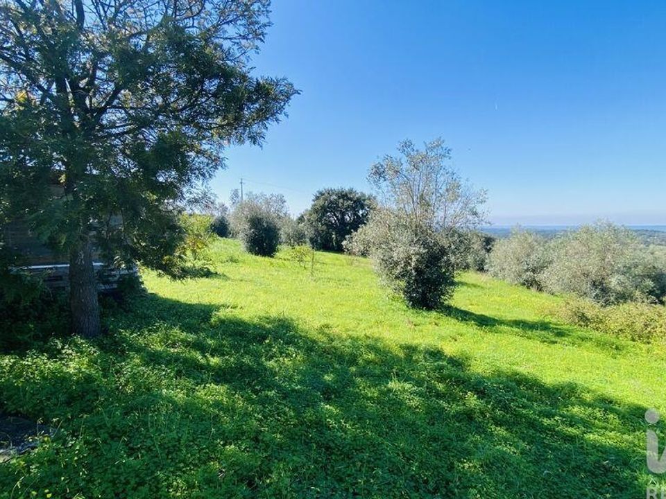 Granja en Ponte de Sor, Portalegre - foto 2