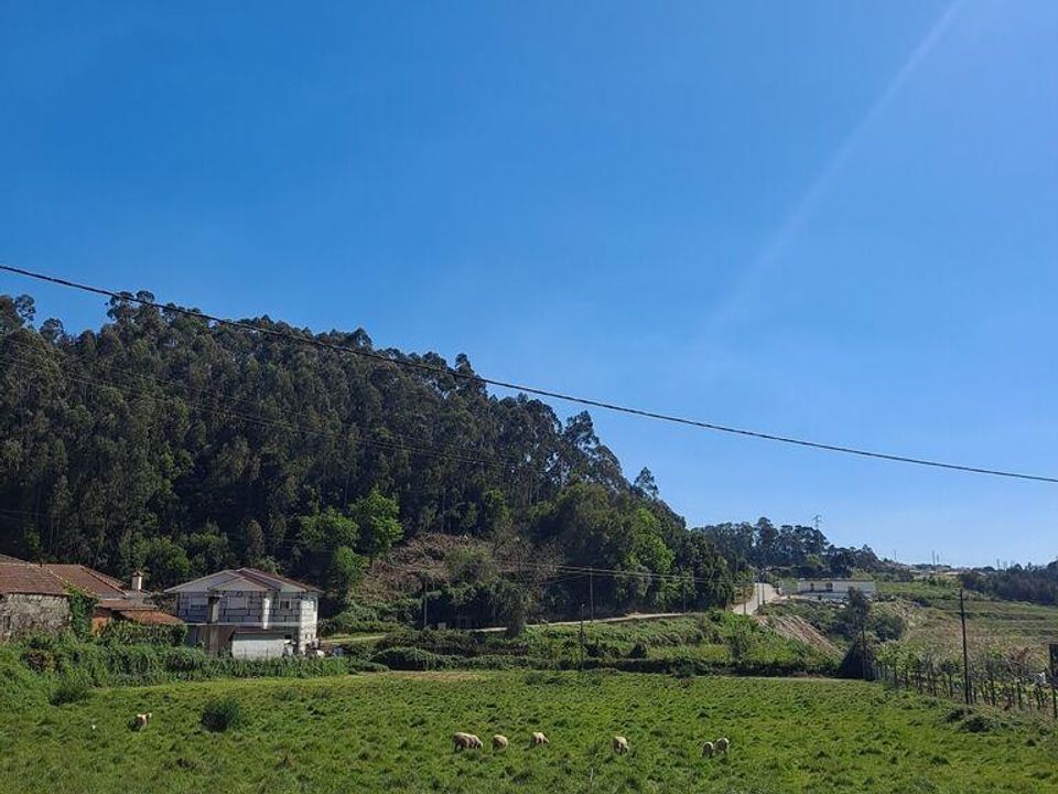 Helårsgrund i Penafiel, Porto - foto 5