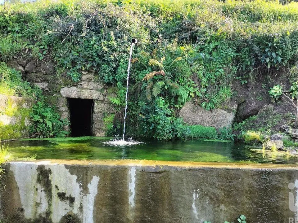 Helårsgrund i Penafiel, Porto - foto 1