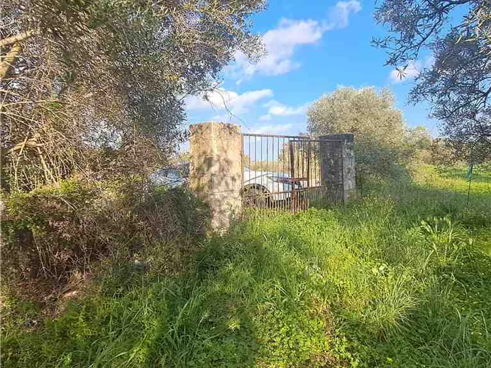 Næringseiendom i Narbolia, Oristano - bilde 1