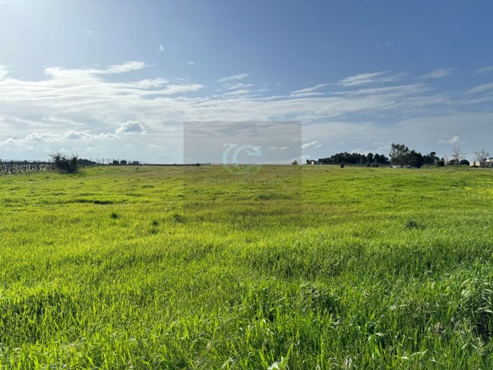 Helårsgrund i Palmela, Setubal - foto 1