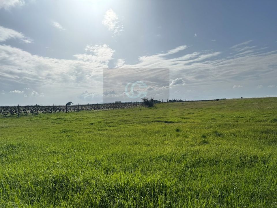 Helårsgrund i Palmela, Setubal - foto 2