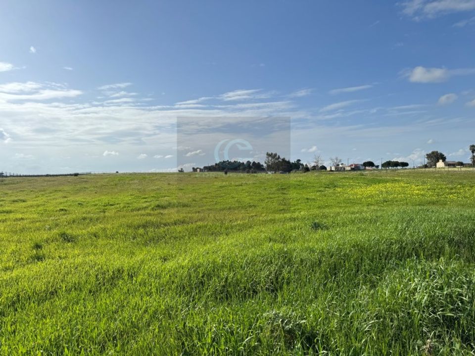 Helårsgrund i Palmela, Setubal - foto 3
