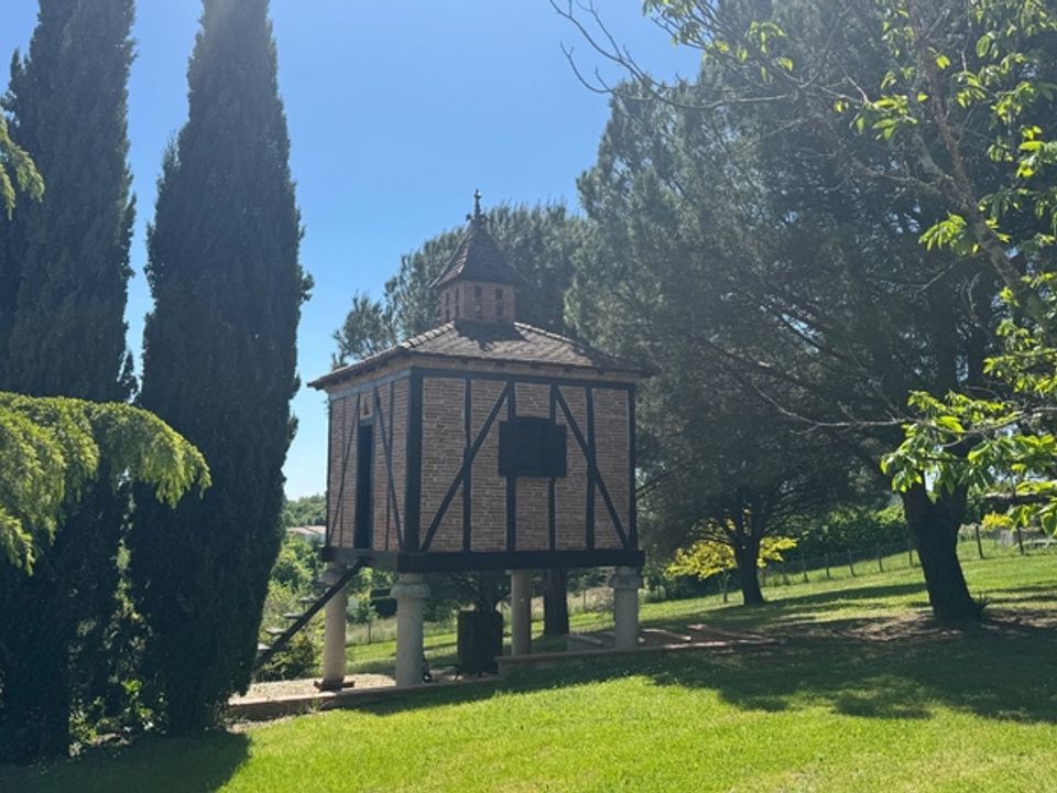 Villa i Moissac, Tarn-et-Garonne - foto 4