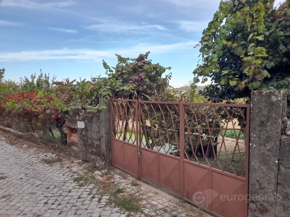 Tomt i Cepoes, Viseu - bilde 1