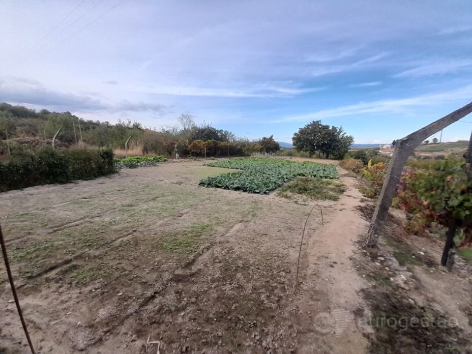 Tomt i Cepoes, Viseu - bilde 3