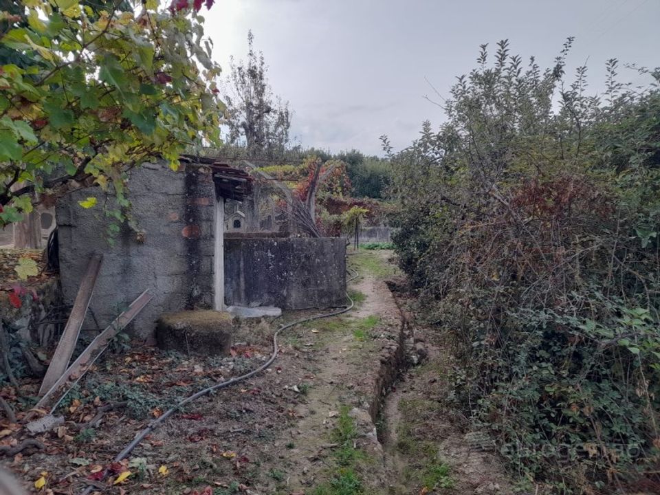 Tomt i Cepoes, Viseu - bilde 4