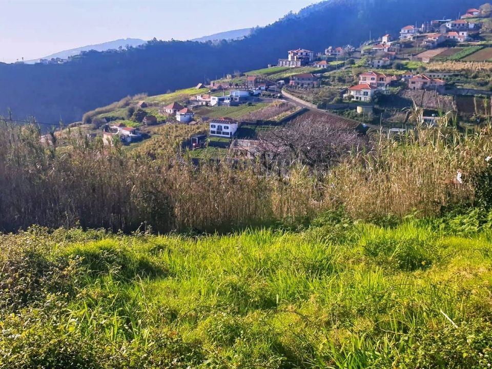 Helårsgrund i Ponta do Sol, Madeira - foto 4