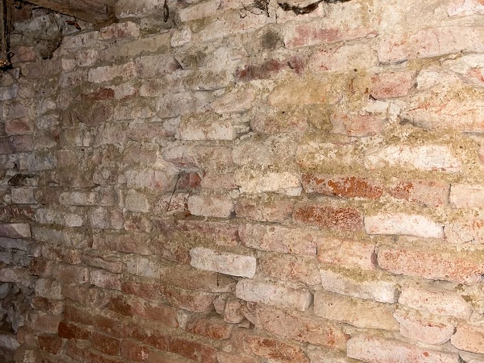 Villa i Grisolles, Tarn-et-Garonne - foto 3