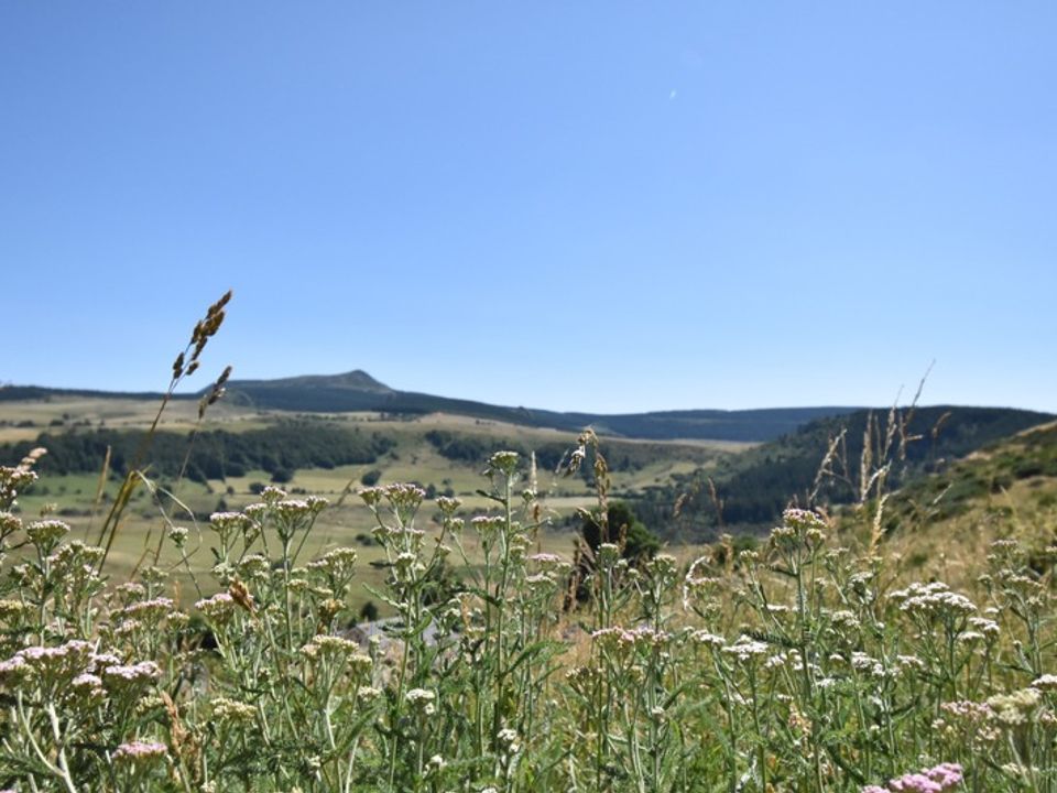 Landejendom i Chaudeyrolles, Haute-Loire - foto 5