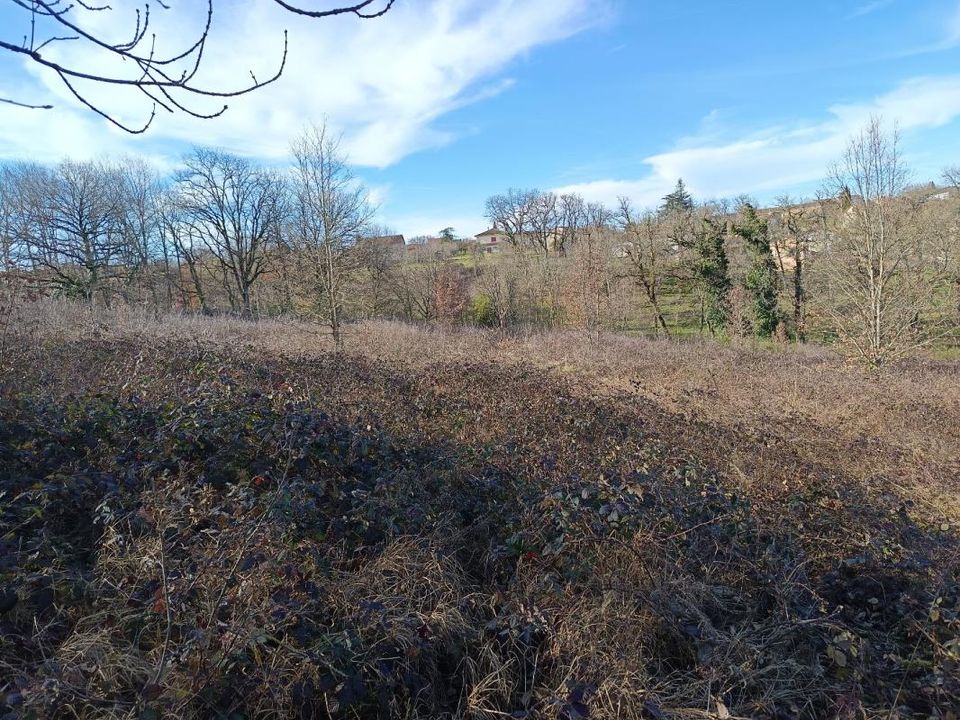 Helårsgrund i Mirandol-Bourgnounac, Tarn - foto 1