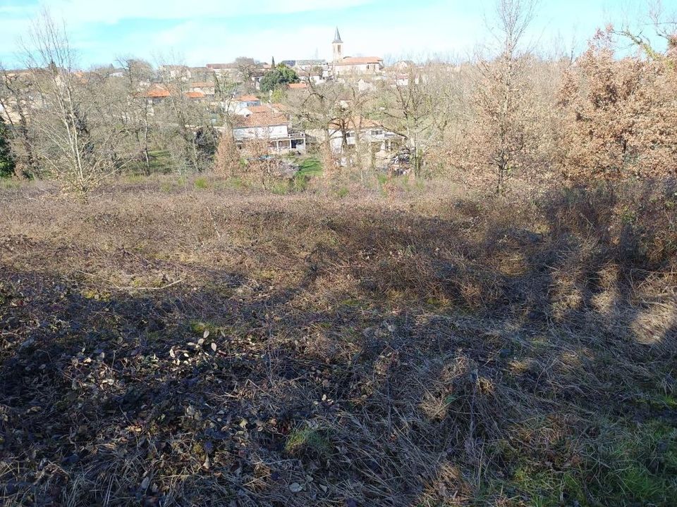 Helårsgrund i Mirandol-Bourgnounac, Tarn - foto 5