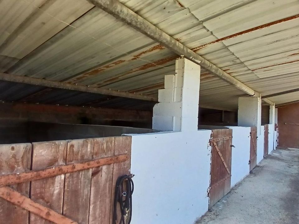 Landejendom i Mimbaste, Landes - foto 1