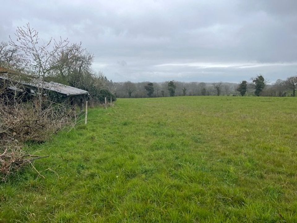 Farm hus i Saint-Laurent-sur-Gorre, Haute-Vienne - foto 5