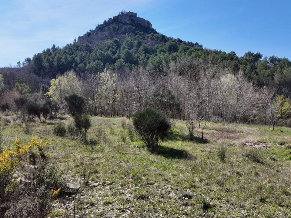 Villa i Entrechaux, Vaucluse - foto 2