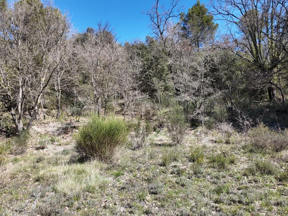 Helårsgrund i Entrechaux, Vaucluse - foto 3