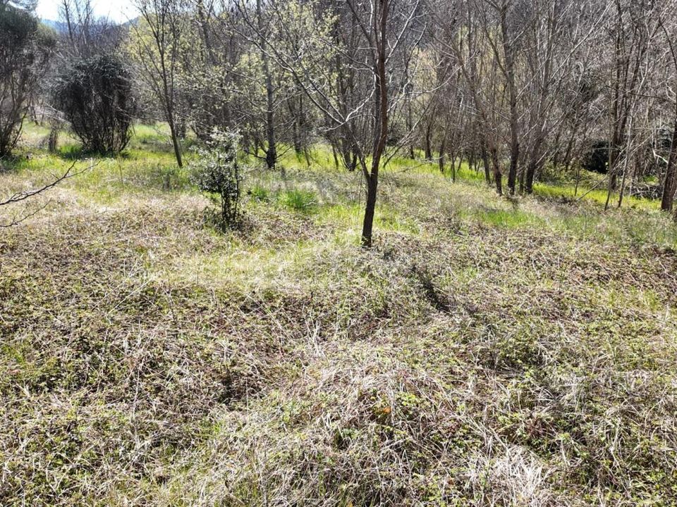 Helårsgrund i Entrechaux, Vaucluse - foto 4
