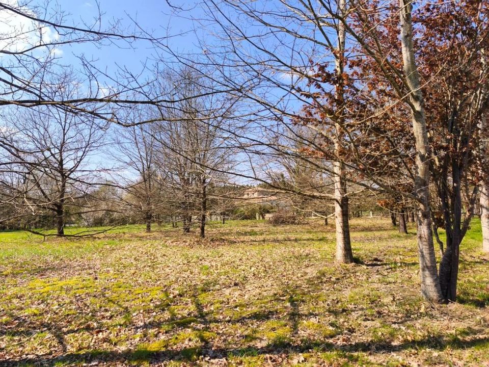 Helårsgrund i Nègrepelisse, Tarn-et-Garonne - foto 1