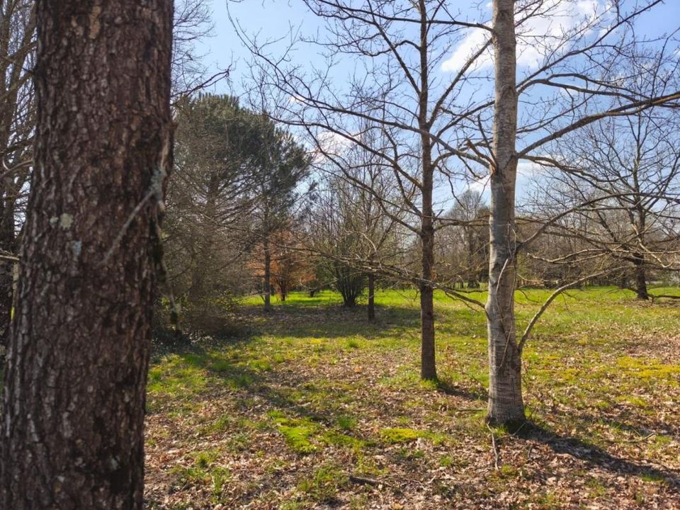 Helårsgrund i Nègrepelisse, Tarn-et-Garonne - foto 2