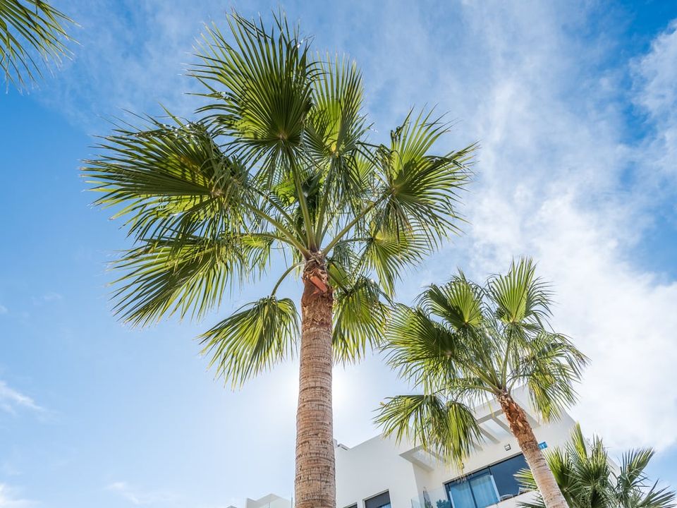 Lejlighed i Javea, Alicante - foto 2