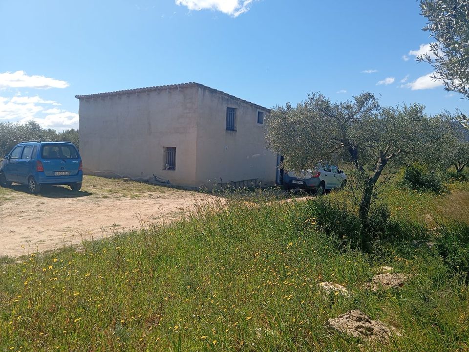 Finca i Ginestar, Tarragona - bilde 3