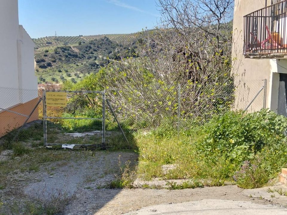 Tomt i Olivares, Granada - bilde 1