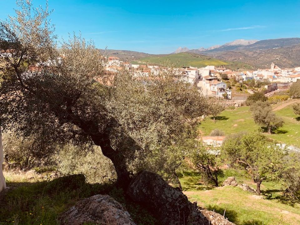 Helårsgrund i Riogordo, Malaga - foto 3