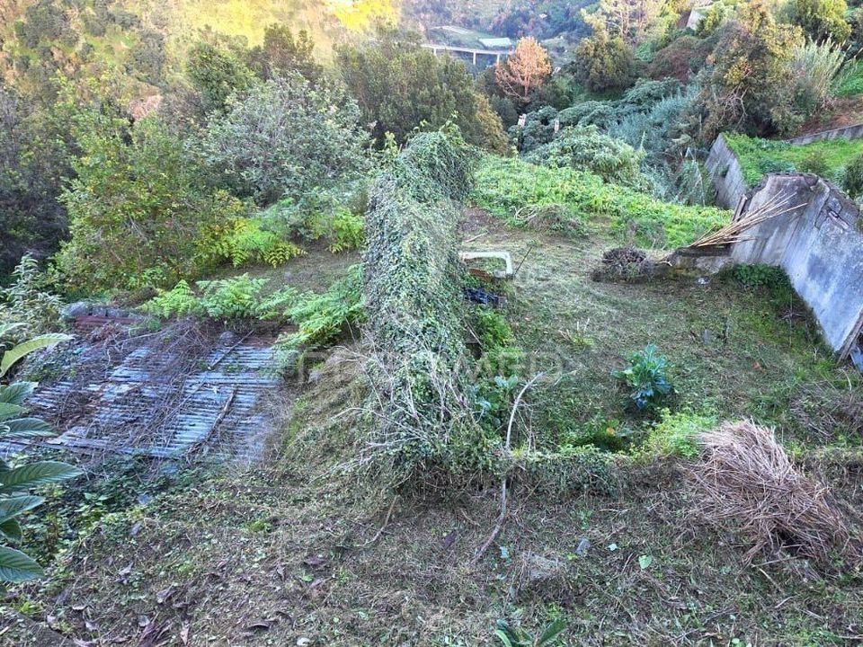 Helårsgrund i Santana, Madeira - foto 2