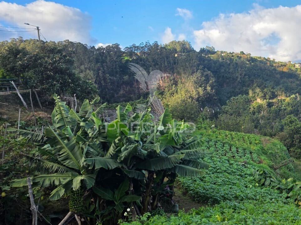 Helårsgrund i Santana, Madeira - foto 4