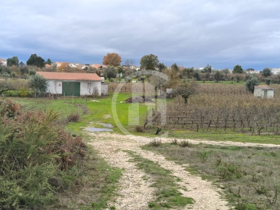 Działka: Nelas, Viseu – zdjęcie 1