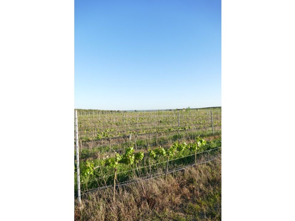 Granja a Cuba, Beja - foto 2
